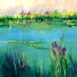 Pond with Iris